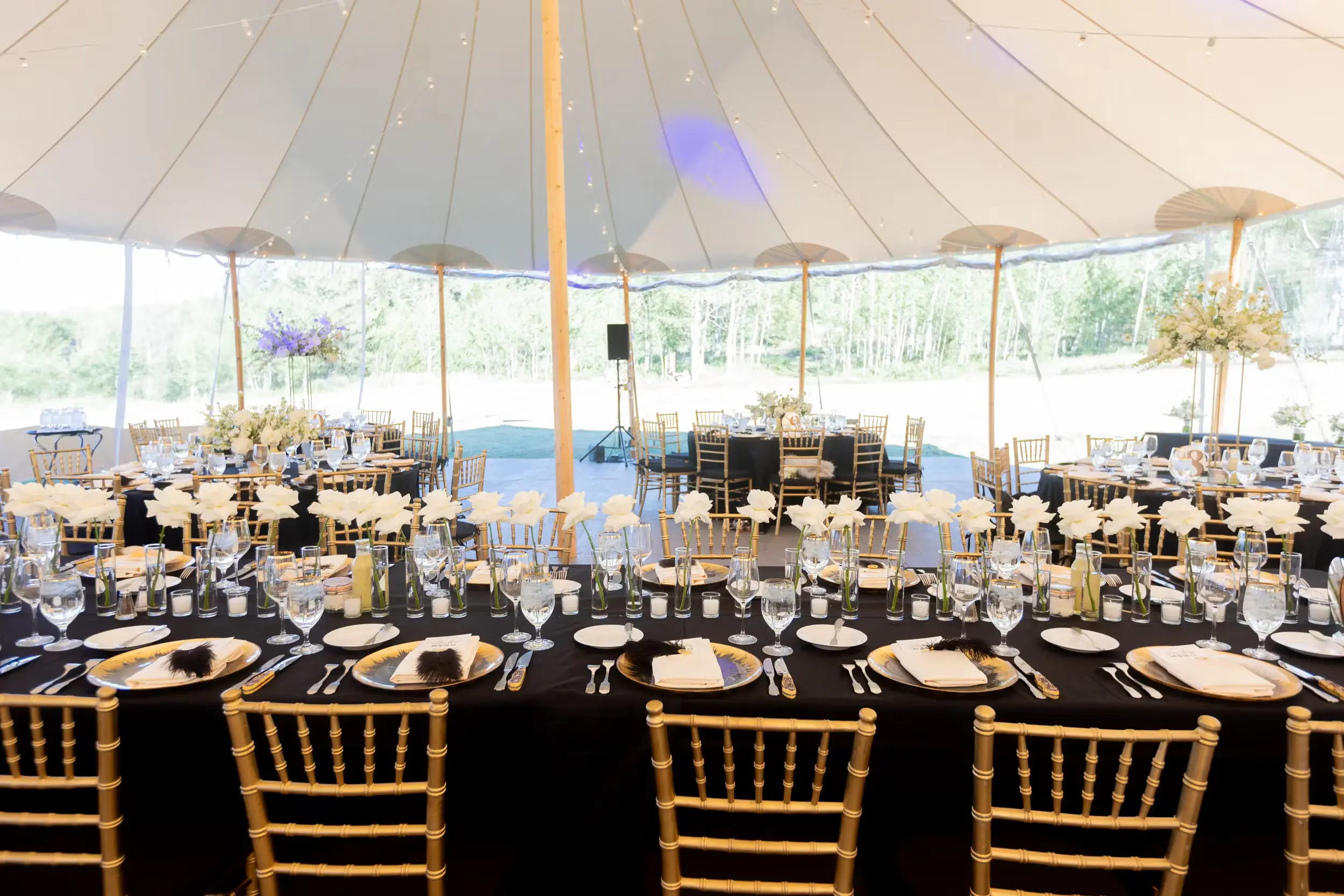 Event Tents for Rent Hot Sulphur Springs CO